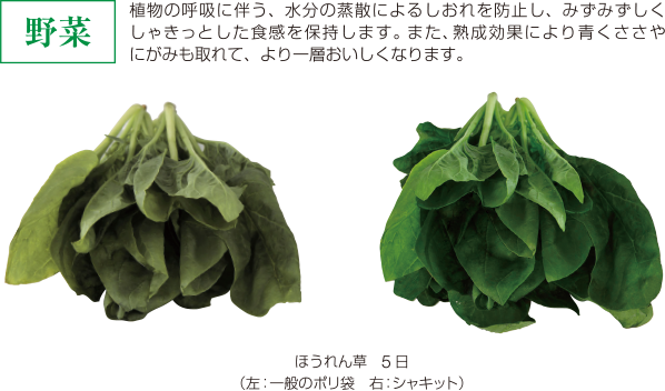 野菜植物の呼吸に伴う、水分の蒸散によるしおれを防止し、みずみずしくしゃきっとした食感を保持します。また、熟成効果により青くささやにがみも取れて、より一層おいしくなります。